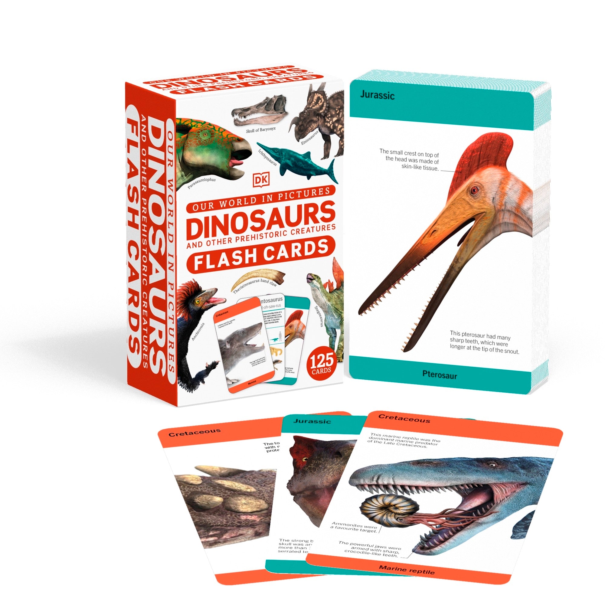 9780241620090-Our World in Pictures Dinosaurs and Other Prehistoric Creatures Flash Cards-Jacket Image