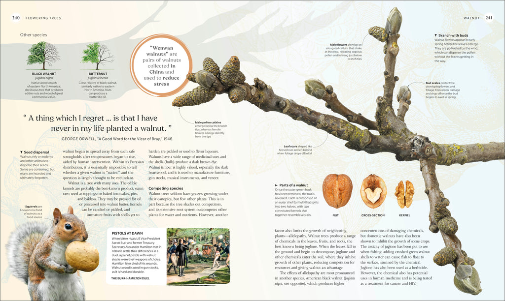 The Tree Book-Spread, Image, (PRHC, Design, Do, Not, Use)-12