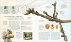 The Tree Book-Spread, Image, (PRHC, Design, Do, Not, Use)-12