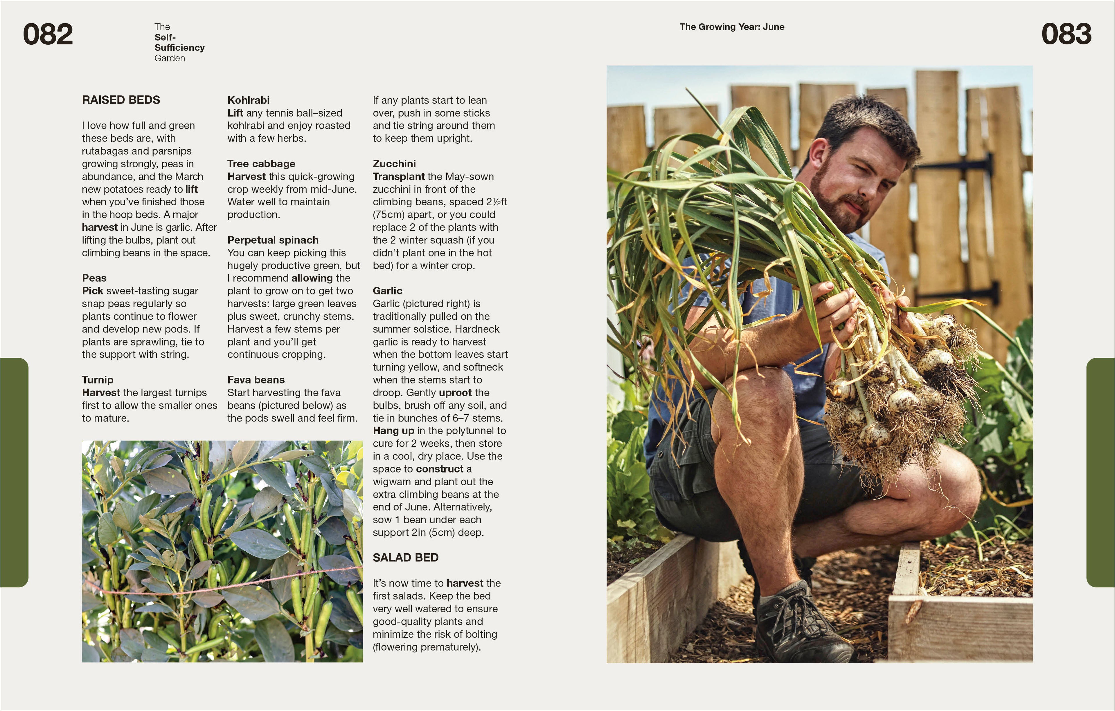 The Self-Sufficiency Garden-Spread, Image, (PRHC, Design, Do, Not, Use)-5