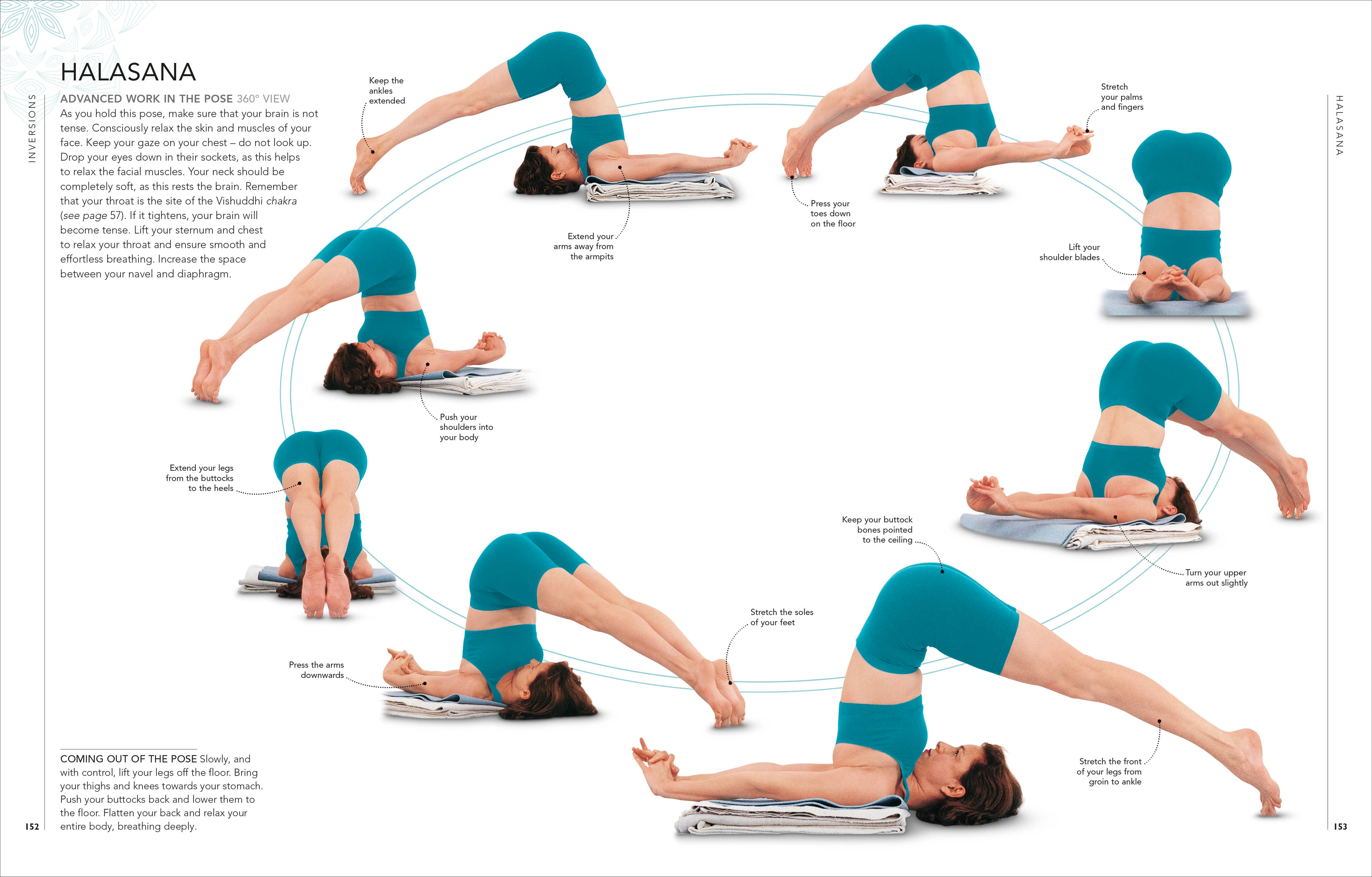 B.K.S. Iyengar Yoga The Path to Holistic Health – DK