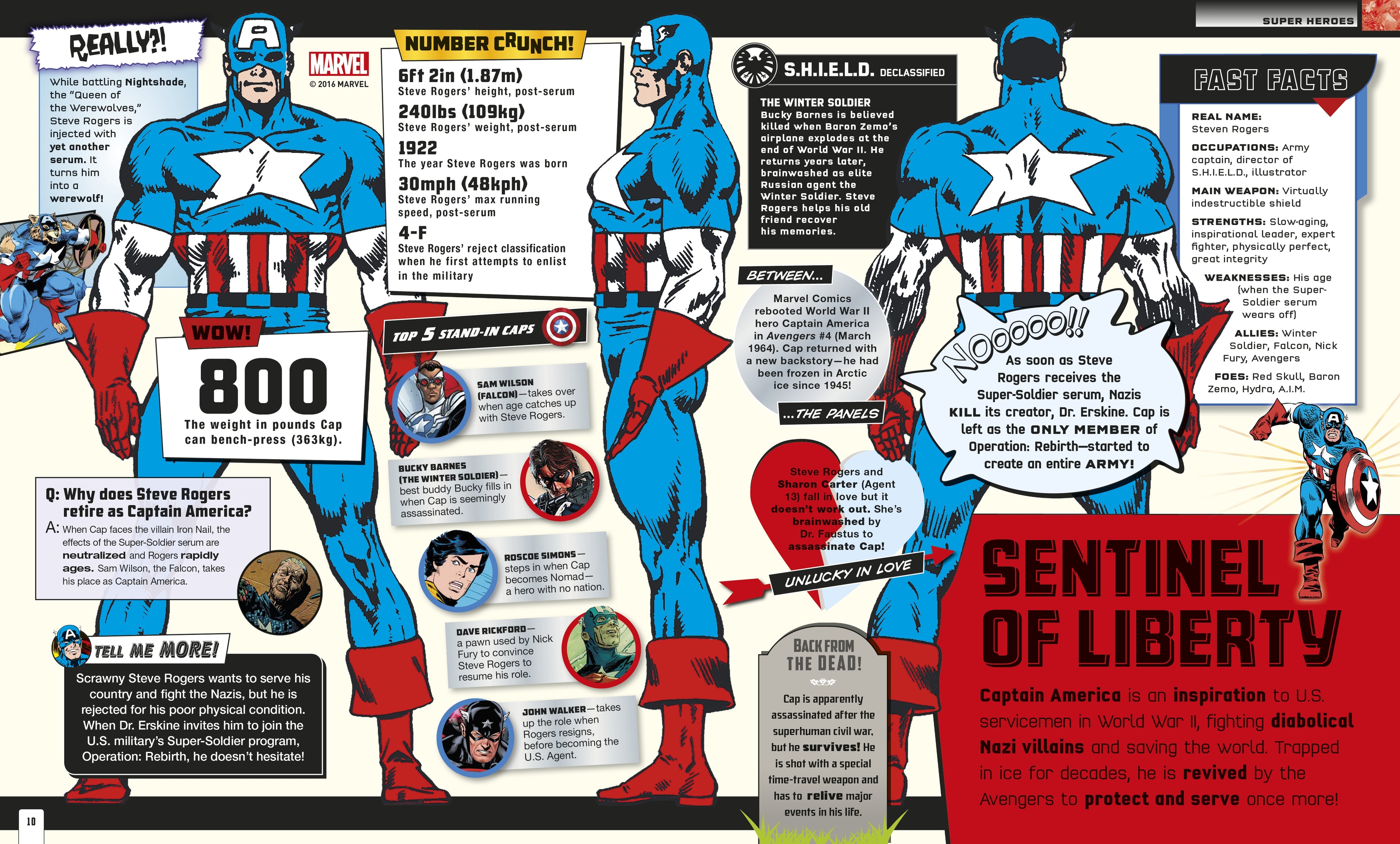 Marvel Absolutely Everything You Need to Know