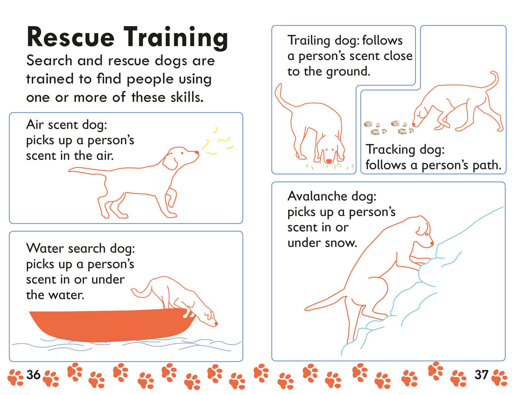 DK Readers L2: Amazing Dogs