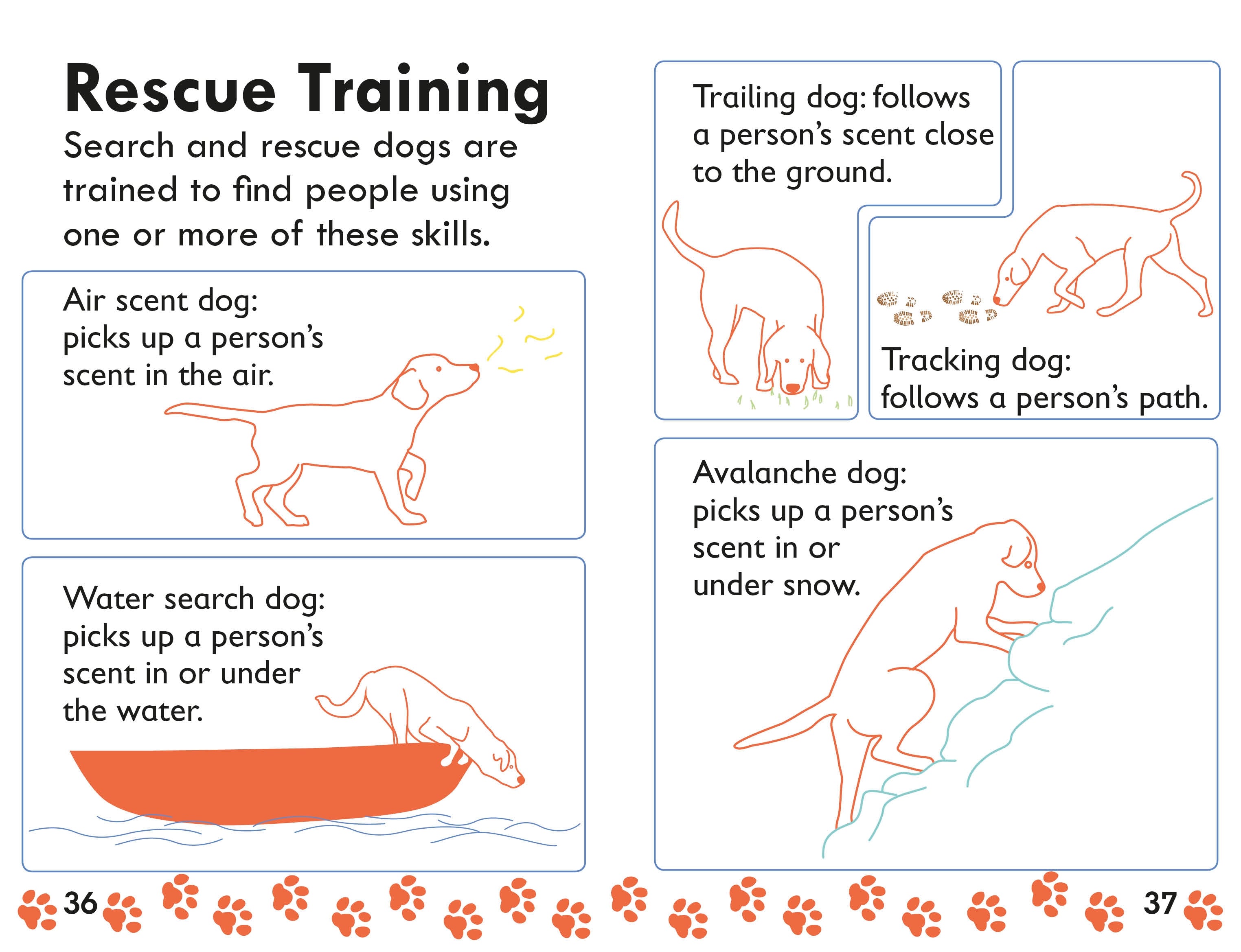 DK Readers L2: Amazing Dogs