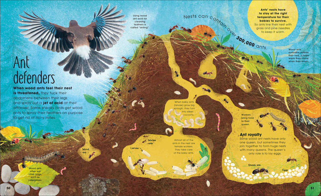 The Book of Brilliant Bugs