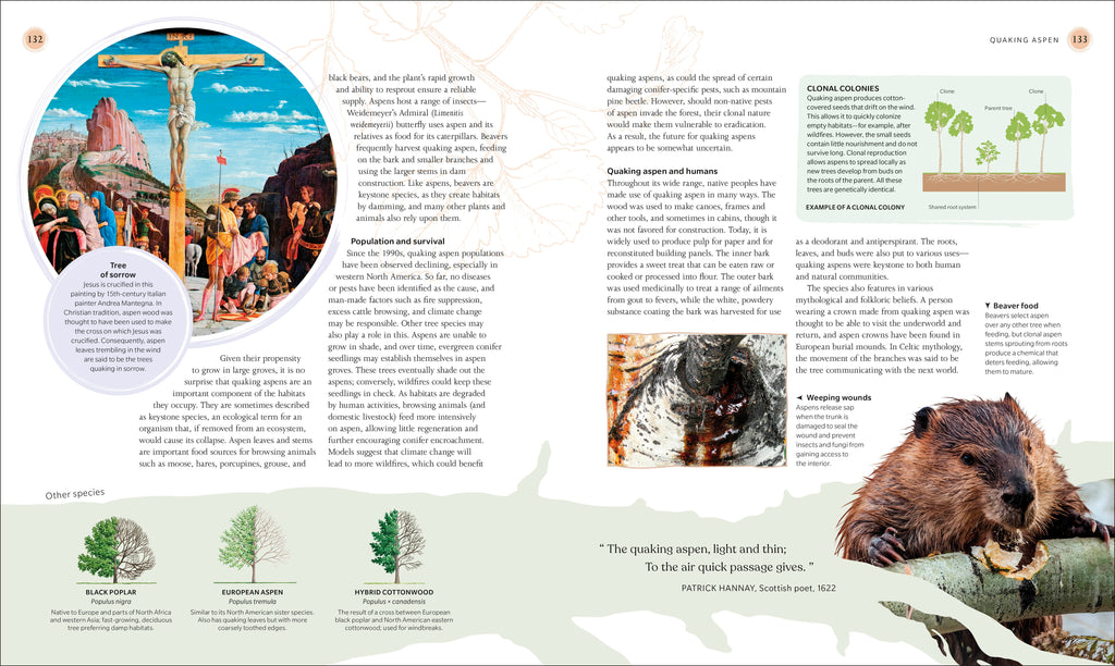 The Tree Book-Spread, Image, (PRHC, Design, Do, Not, Use)-8