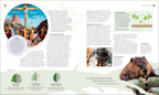 The Tree Book-Spread, Image, (PRHC, Design, Do, Not, Use)-8
