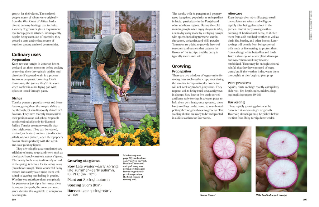 The Seed Hunter-Spread, Image, (PRHC, Design, Do, Not, Use)-5