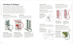 Embroidery Stitches Step-by-Step-spread image