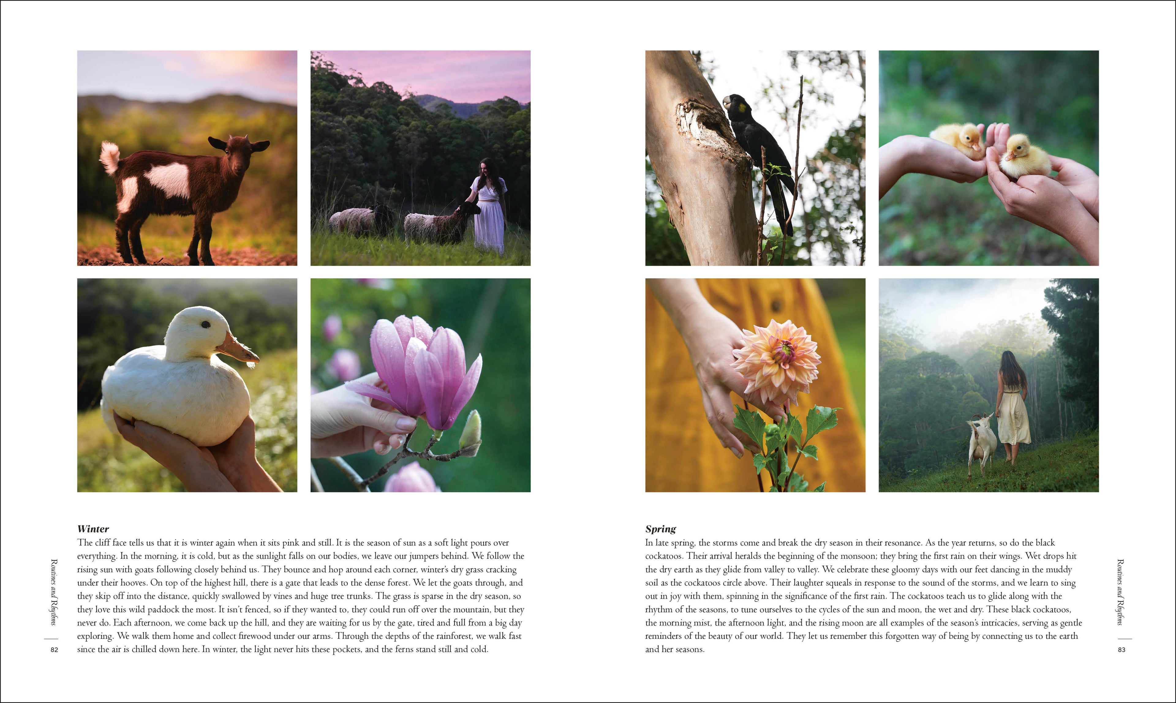 Mother the Mountain-image