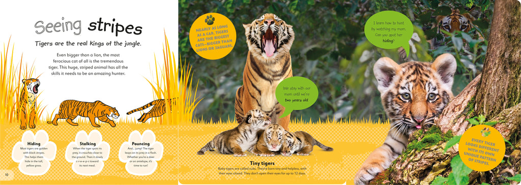 The Incredible Fold-Out Book of Animals