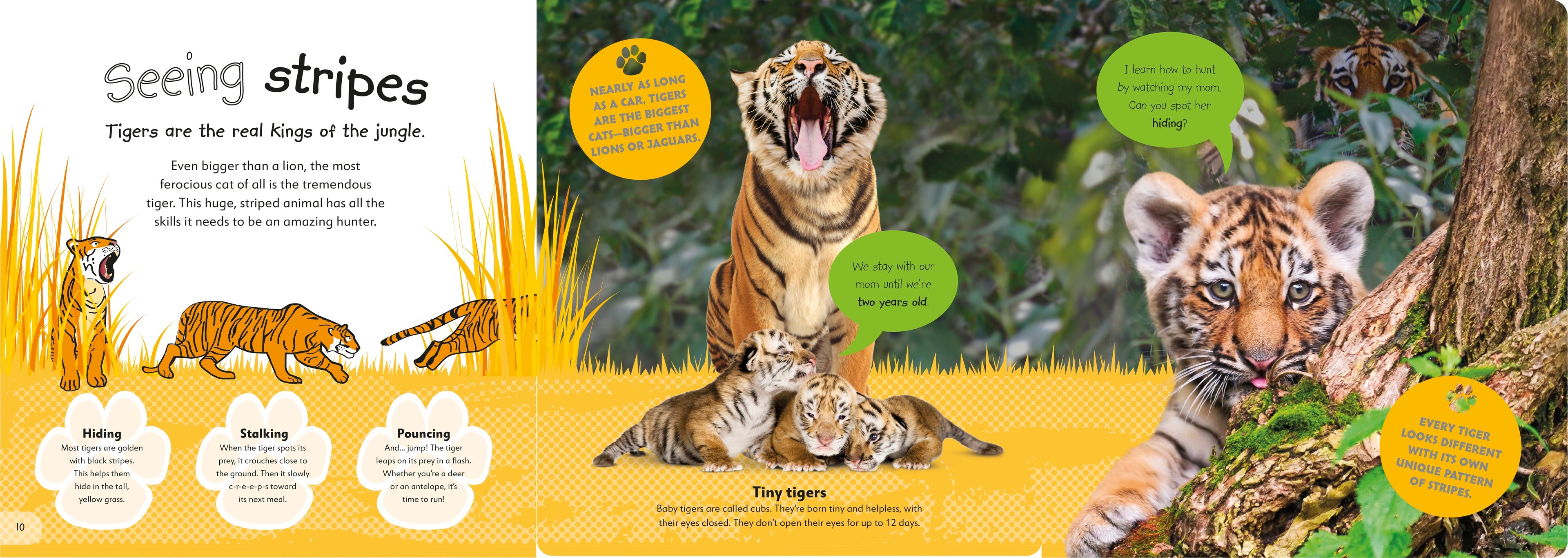 The Incredible Fold-Out Book of Animals