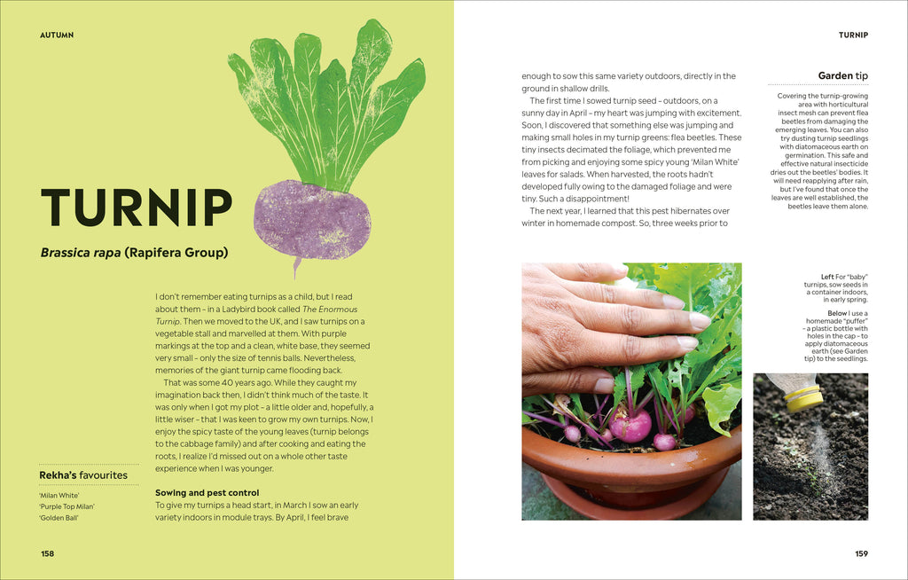 Rekha's Kitchen Garden-Spread, Image, (PRHC, Design, Do, Not, Use)-6