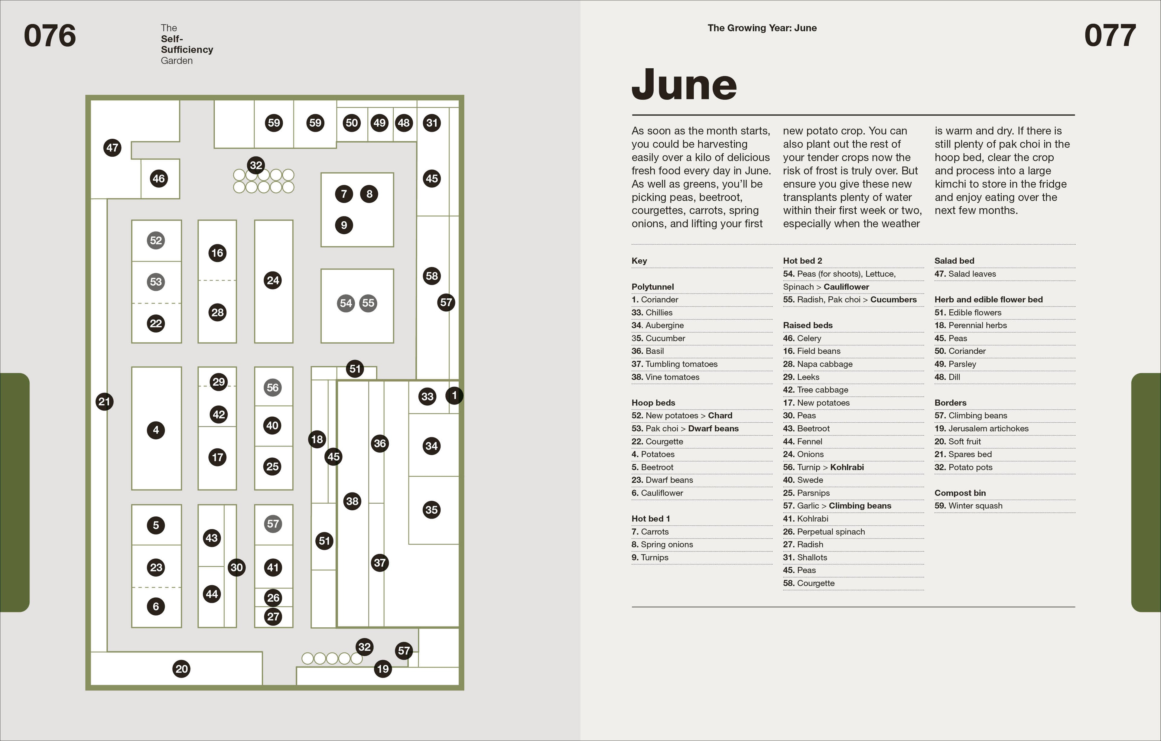 The Self-Sufficiency Garden