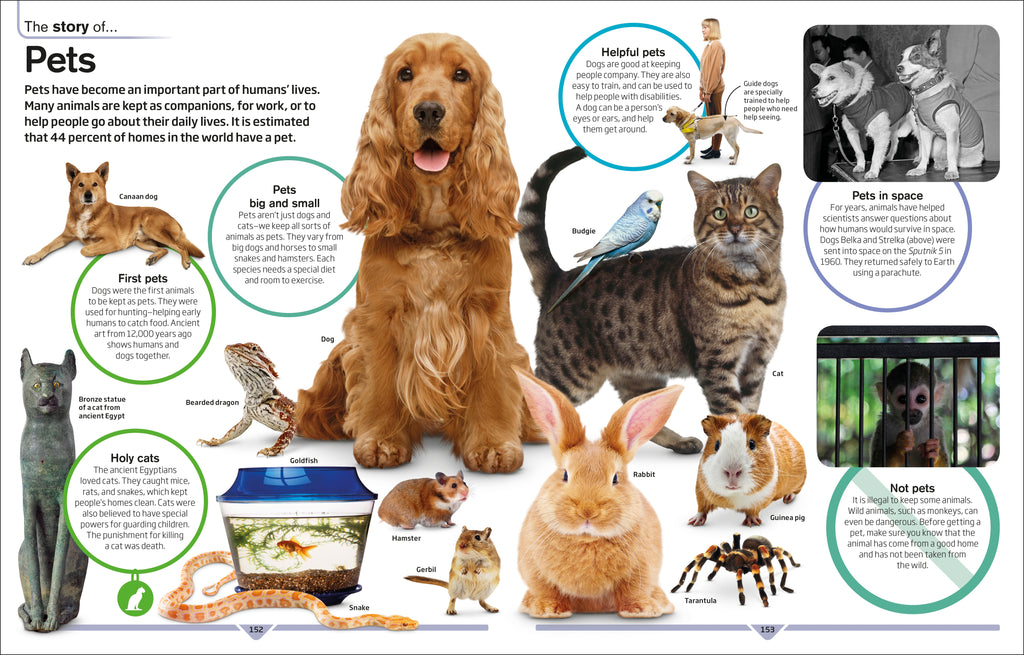 DK Children's Encyclopedia