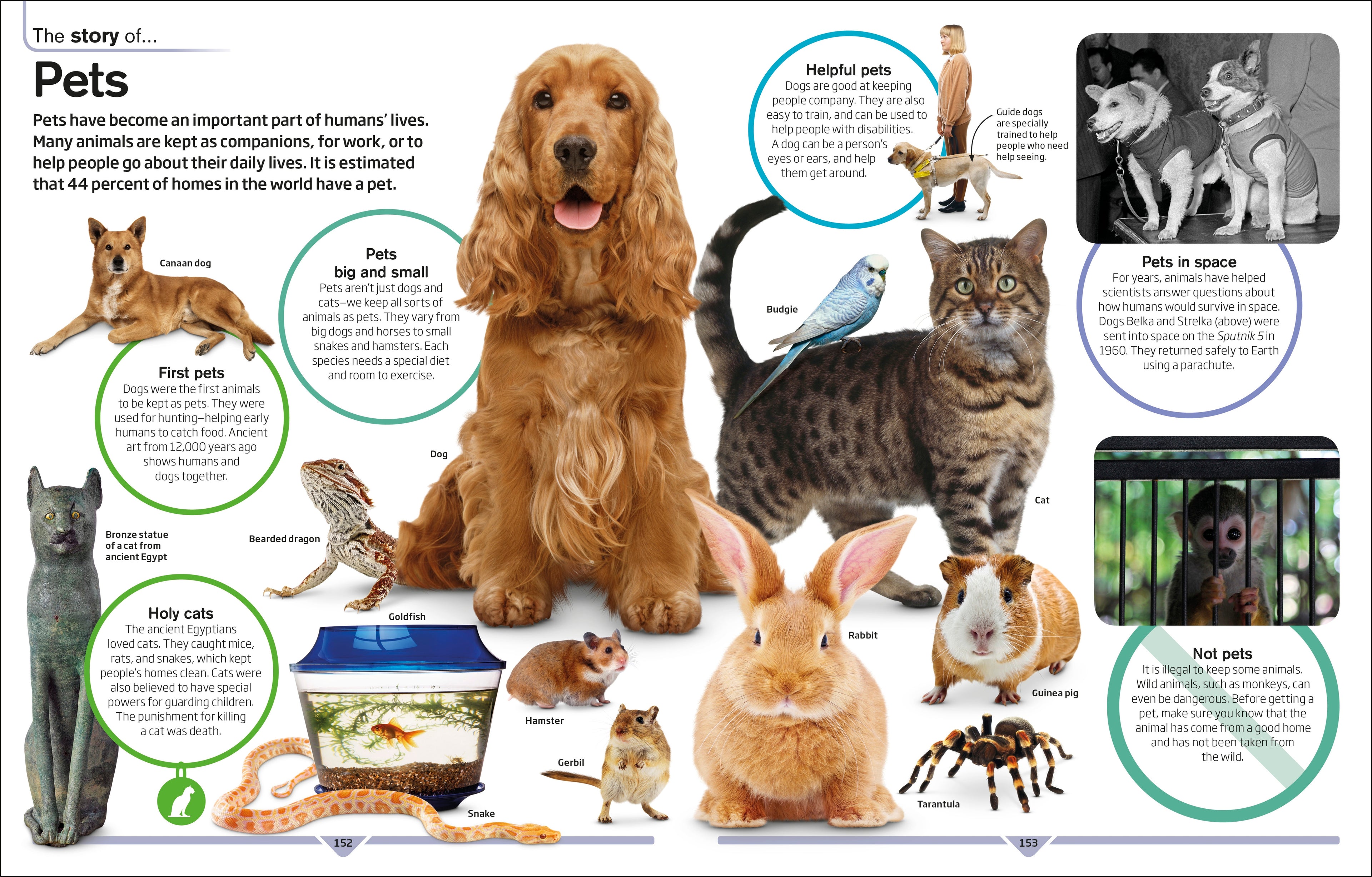 DK Children's Encyclopedia