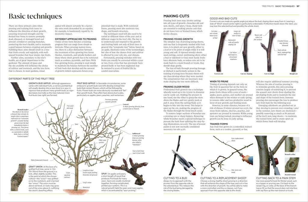 Pruning and Training-Spread, Image, (PRHC, Design, Do, Not, Use)-4