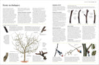 Pruning and Training-Spread, Image, (PRHC, Design, Do, Not, Use)-4
