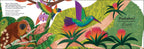 Bilingual Pop-Up Peekaboo! Rainforest - La selva-Spread, Image, (PRHC, Design, Do, Not, Use)-6
