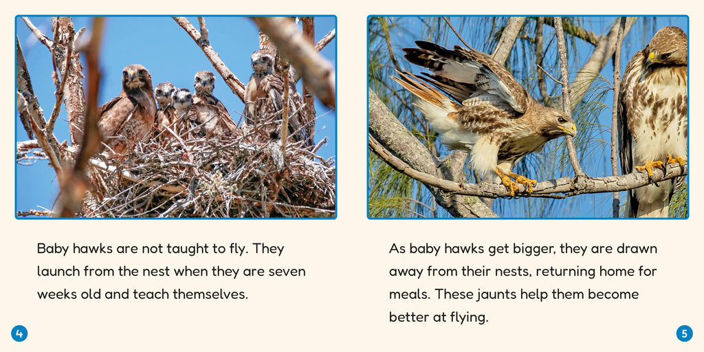 Phonic Books Lift Off Readers Vowel Teams, Diphthongs, and Silent Letters