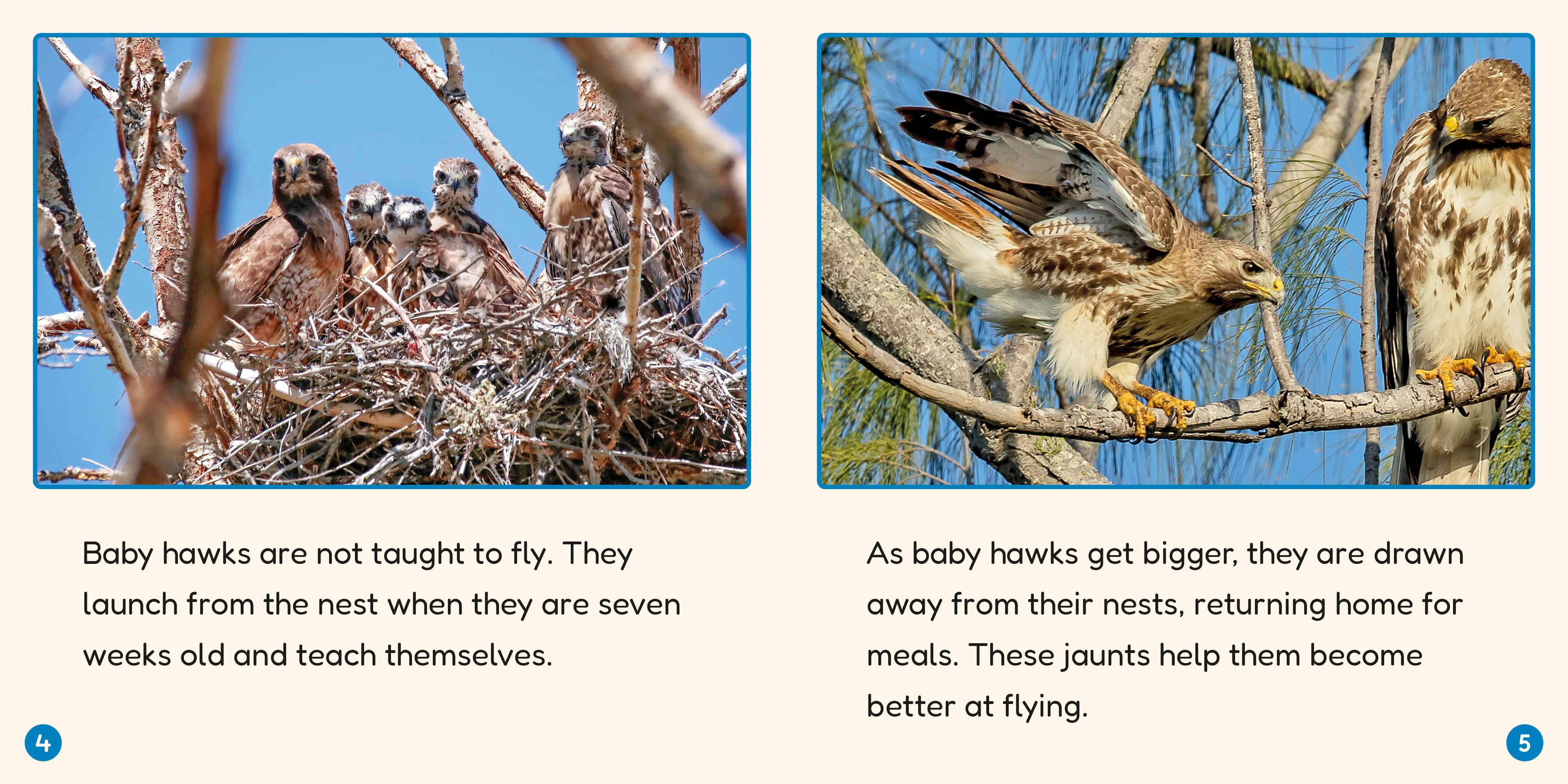 Phonic Books Lift Off Readers Vowel Teams, Diphthongs, and Silent Letters