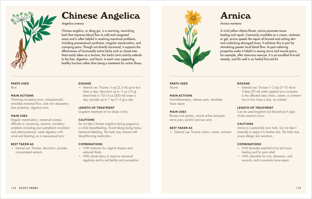 The Home Herbal-image