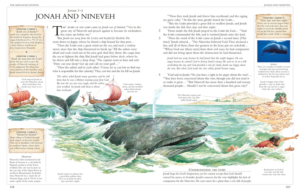 Illustrated Family Bible