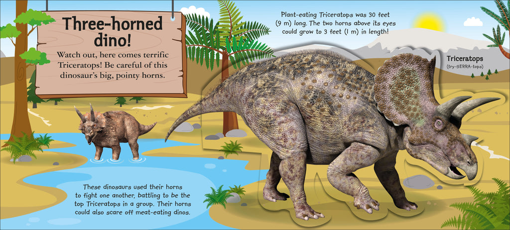 My Terrific Dinosaur Book