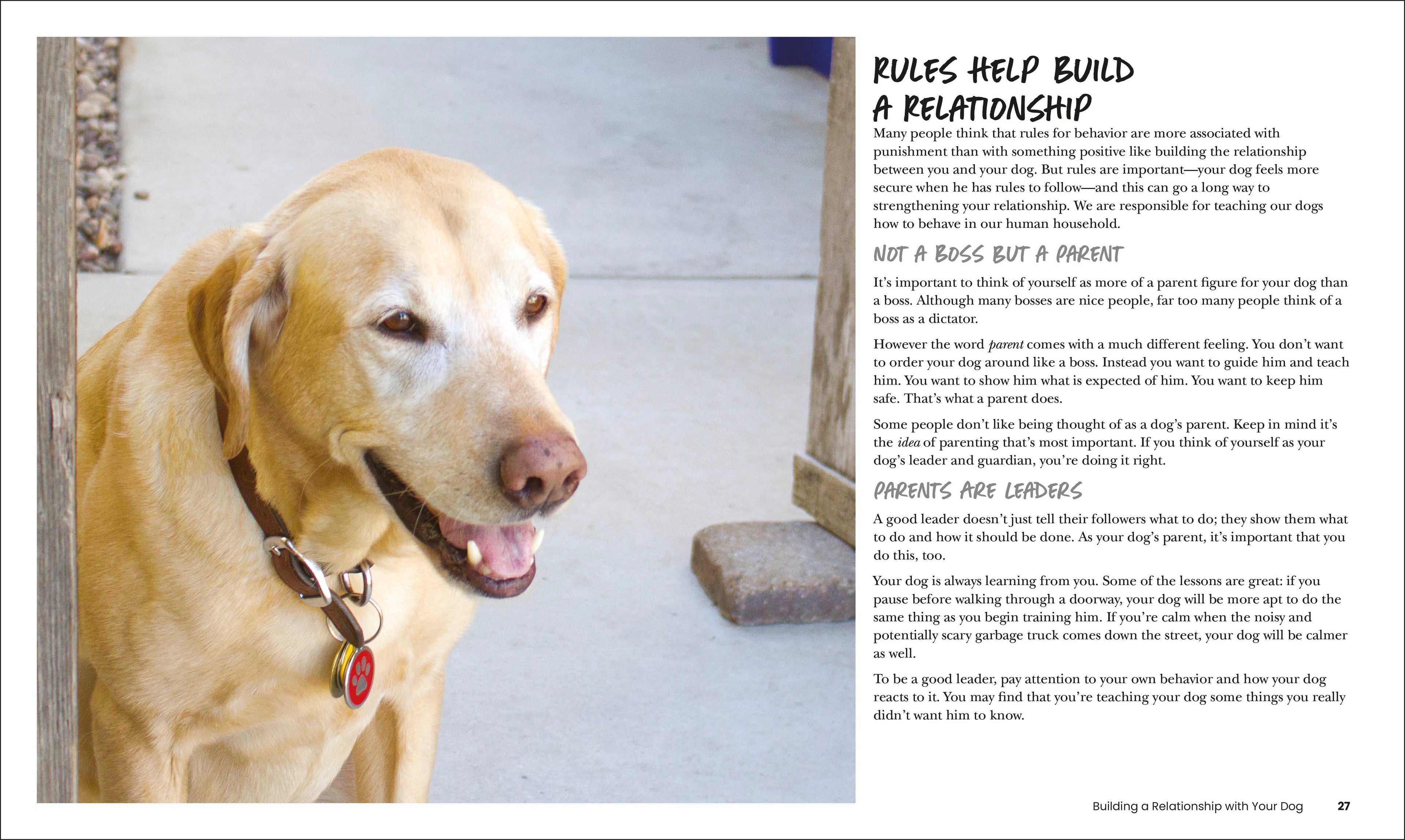 How to Train Your Dog-Spread, Image, (PRHC, Design, Do, Not, Use)-1