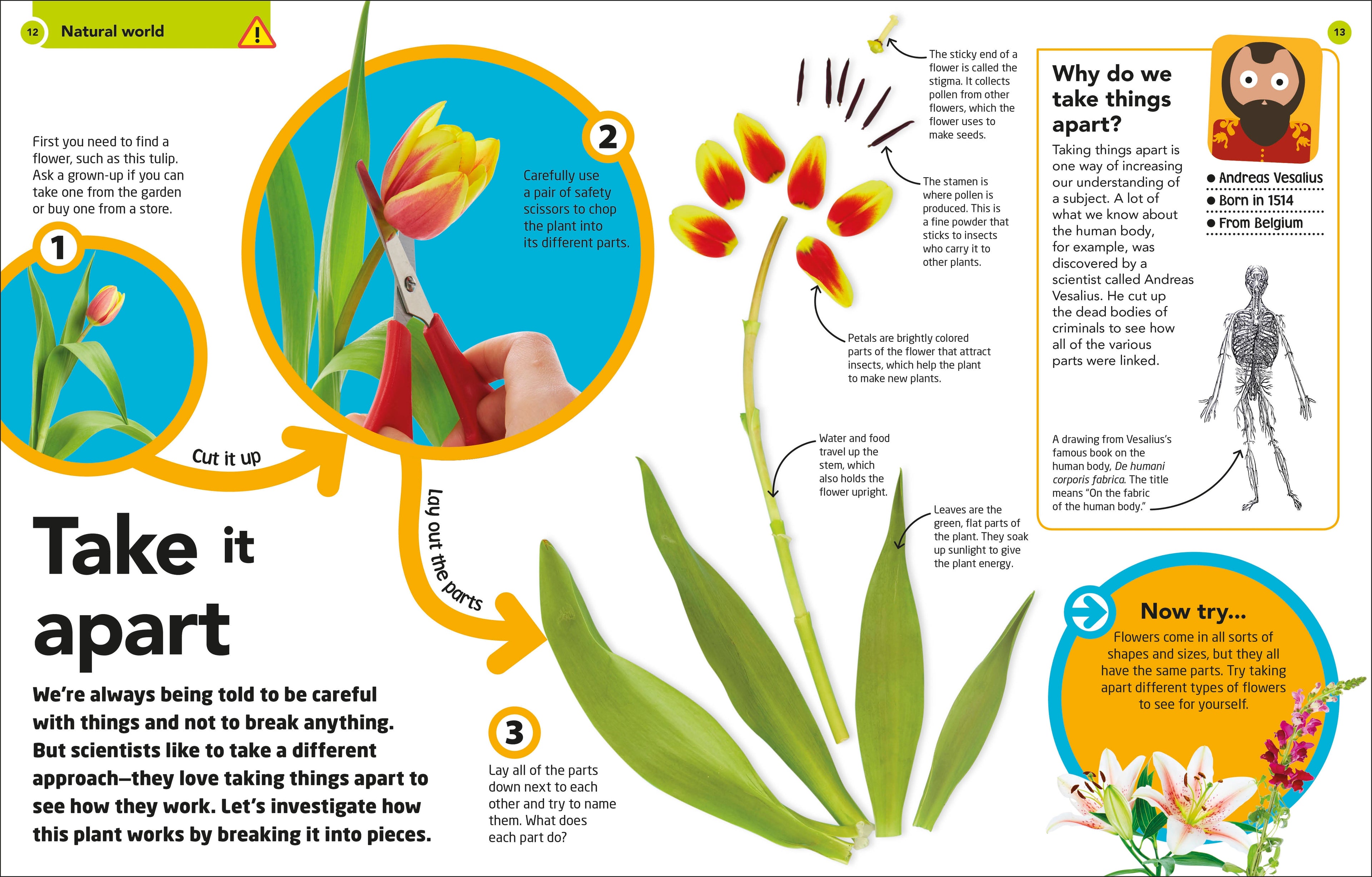How to Be a Scientist