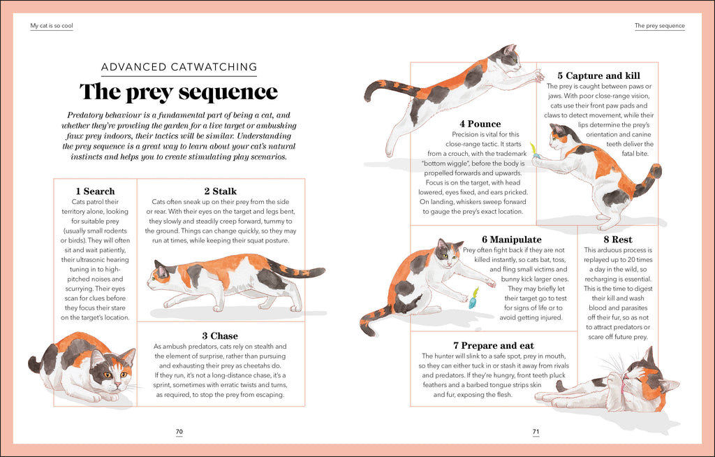 What's My Cat Thinking?