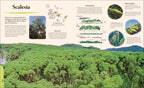 Galapagos-Spread, Image, (PRHC, Design, Do, Not, Use)-6