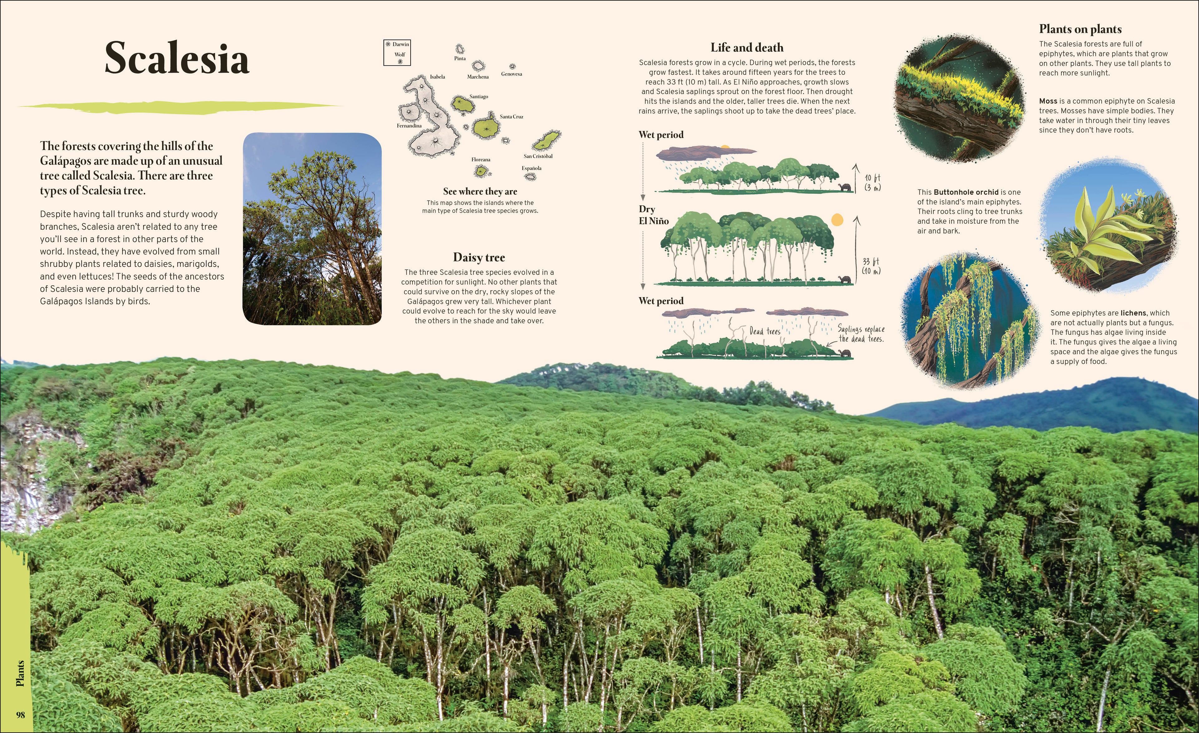 Galapagos-Spread, Image, (PRHC, Design, Do, Not, Use)-6