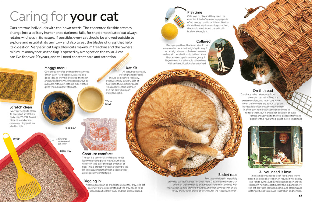 Cat-spread image