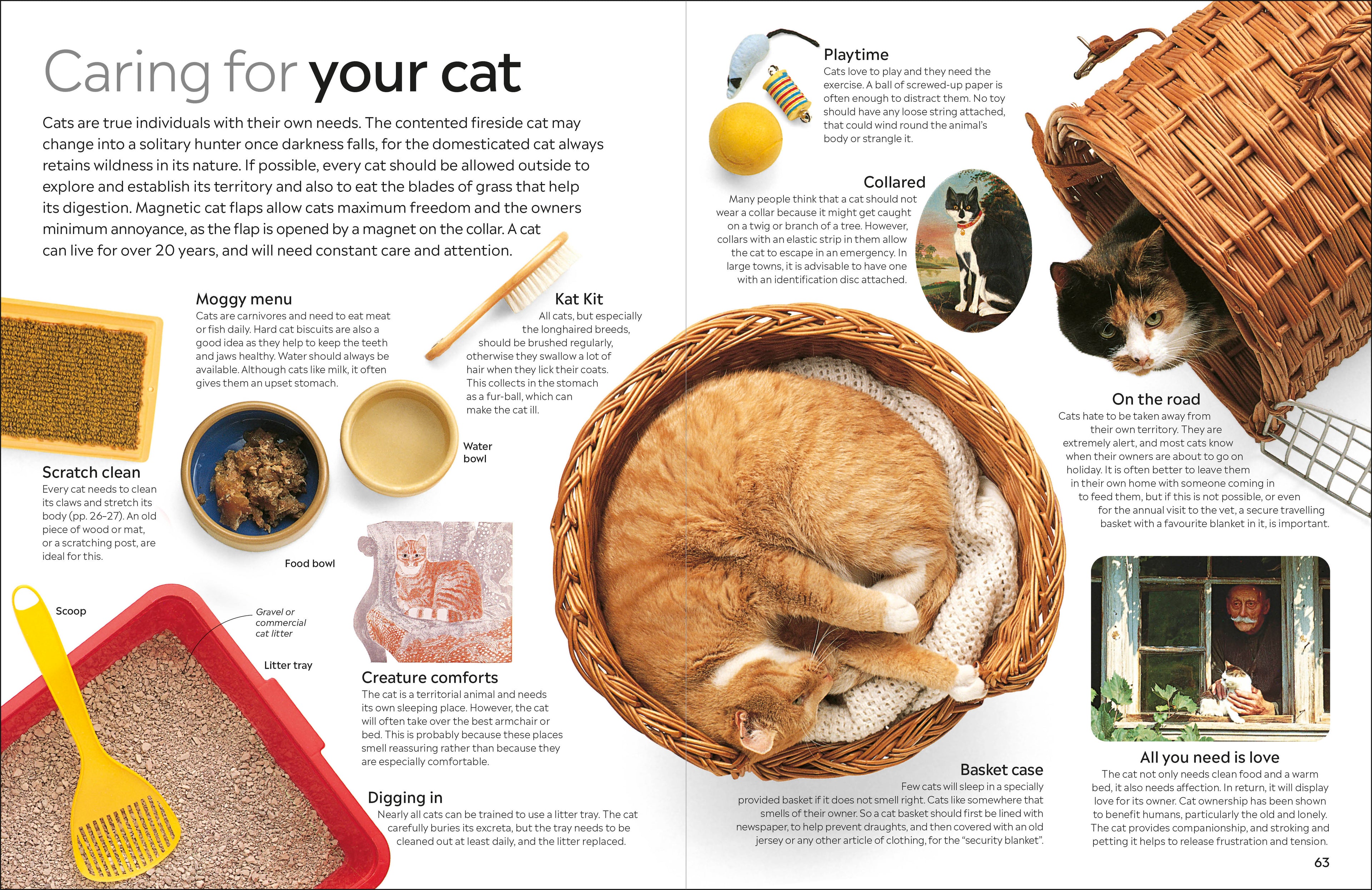 Cat-spread image