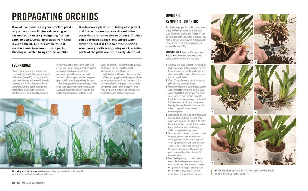 Grow Orchids-Spread, Image, (PRHC, Design, Do, Not, Use)-4