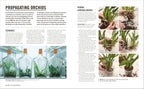 Grow Orchids-Spread, Image, (PRHC, Design, Do, Not, Use)-4