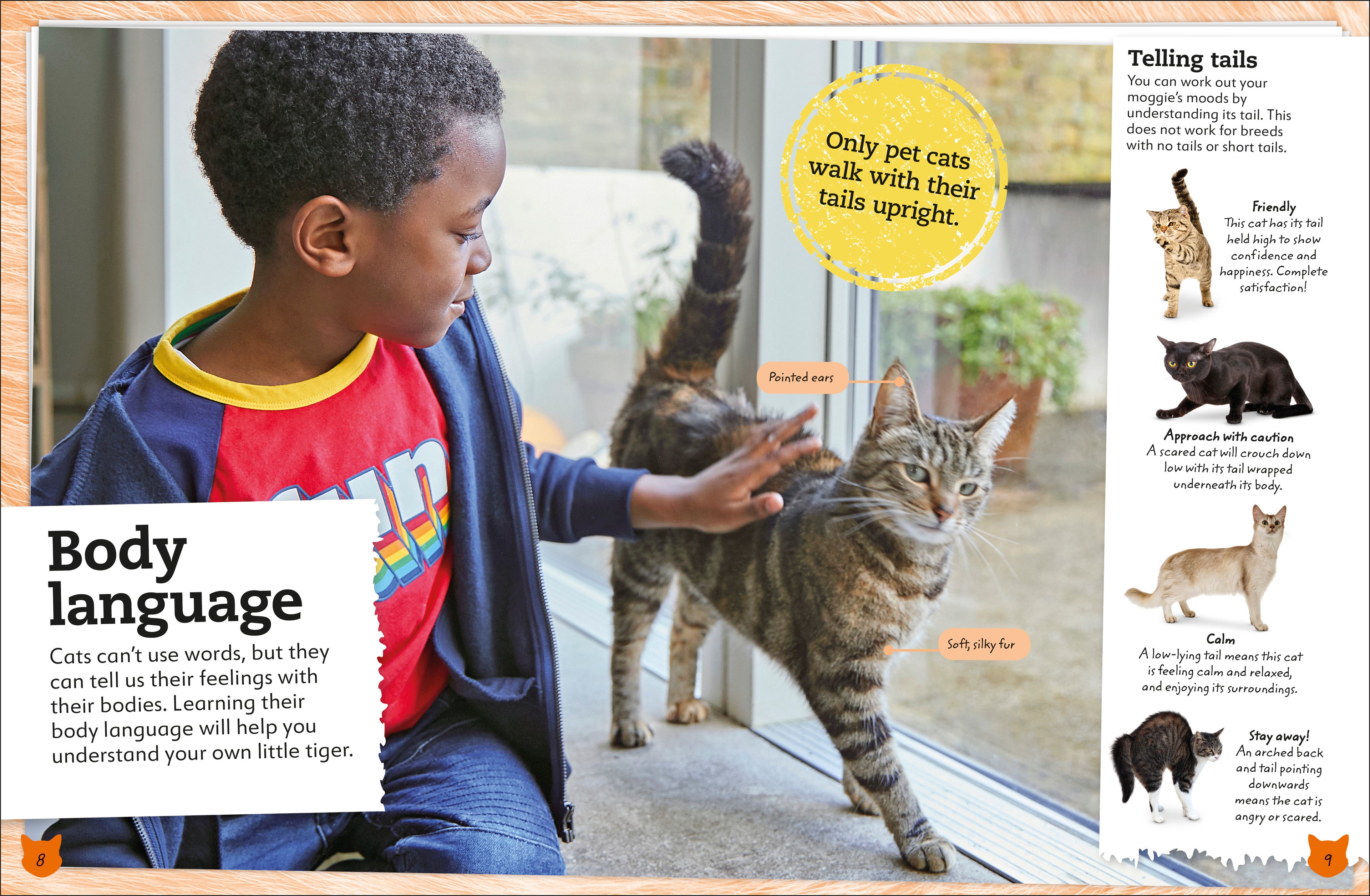 My Book of Cats and Kittens