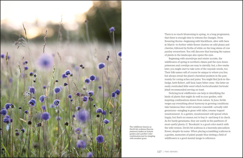 Garden for the Senses-Spread, Image, (PRHC, Design, Do, Not, Use)-6