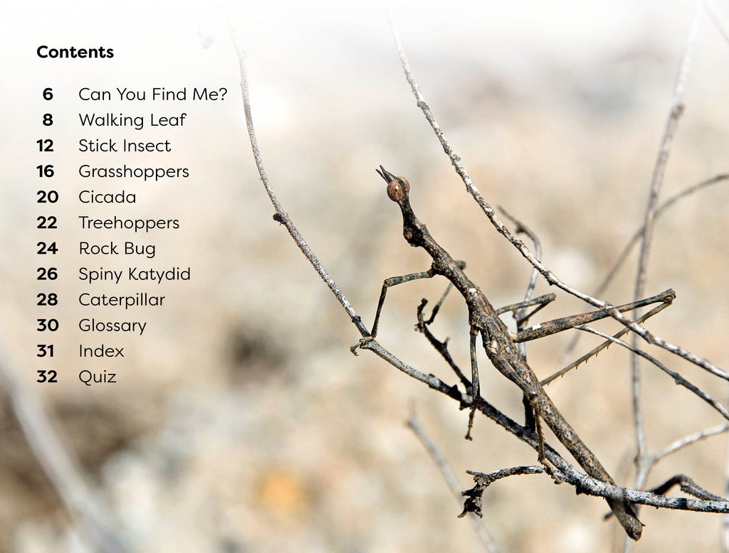 DK Super Readers Level 1 Bugs Hide and Seek