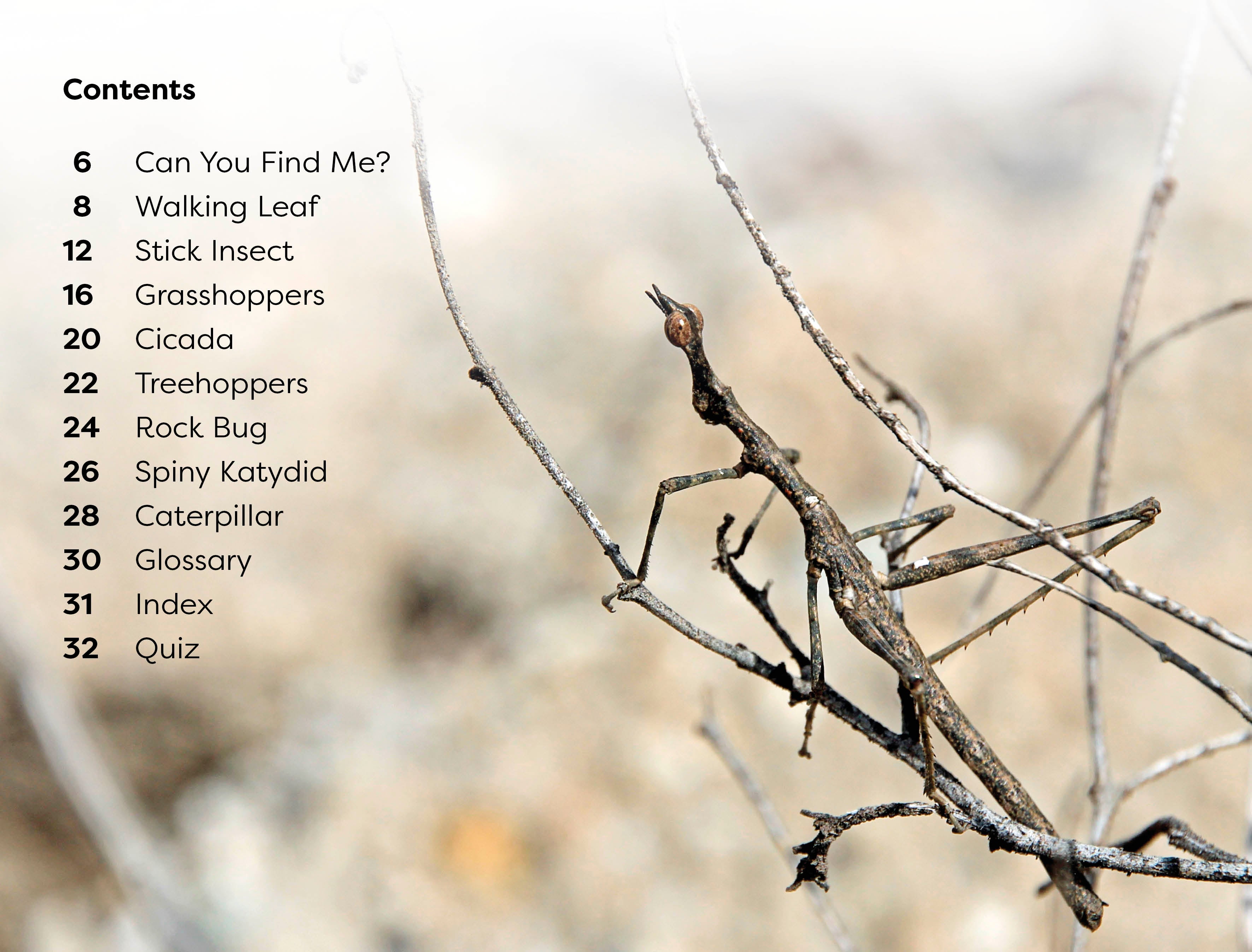 DK Super Readers Level 1 Bugs Hide and Seek