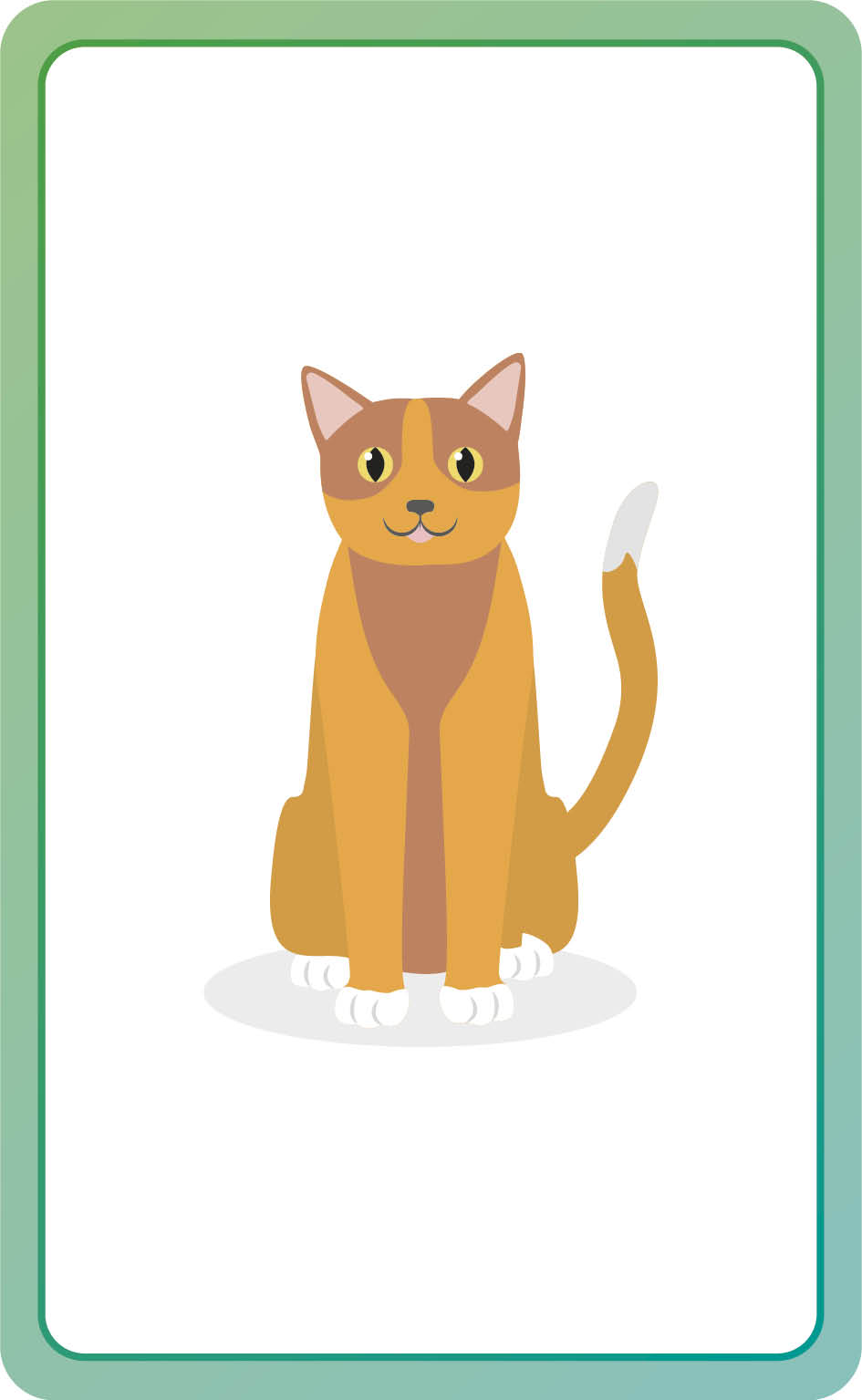 Italian for Everyone Junior First Words Flash Cards-image