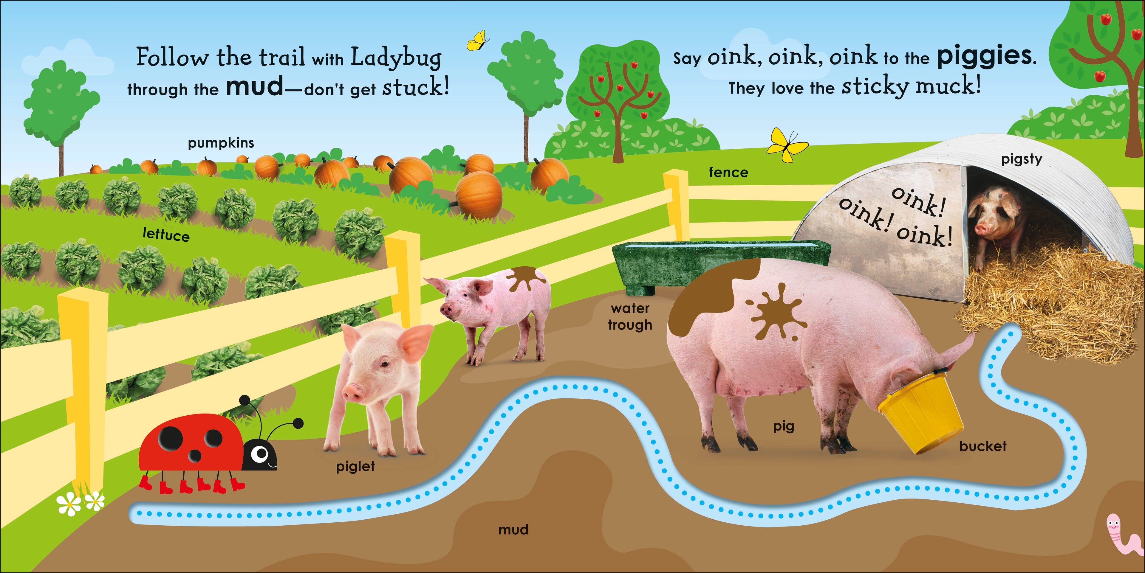 On the Farm with a Ladybug