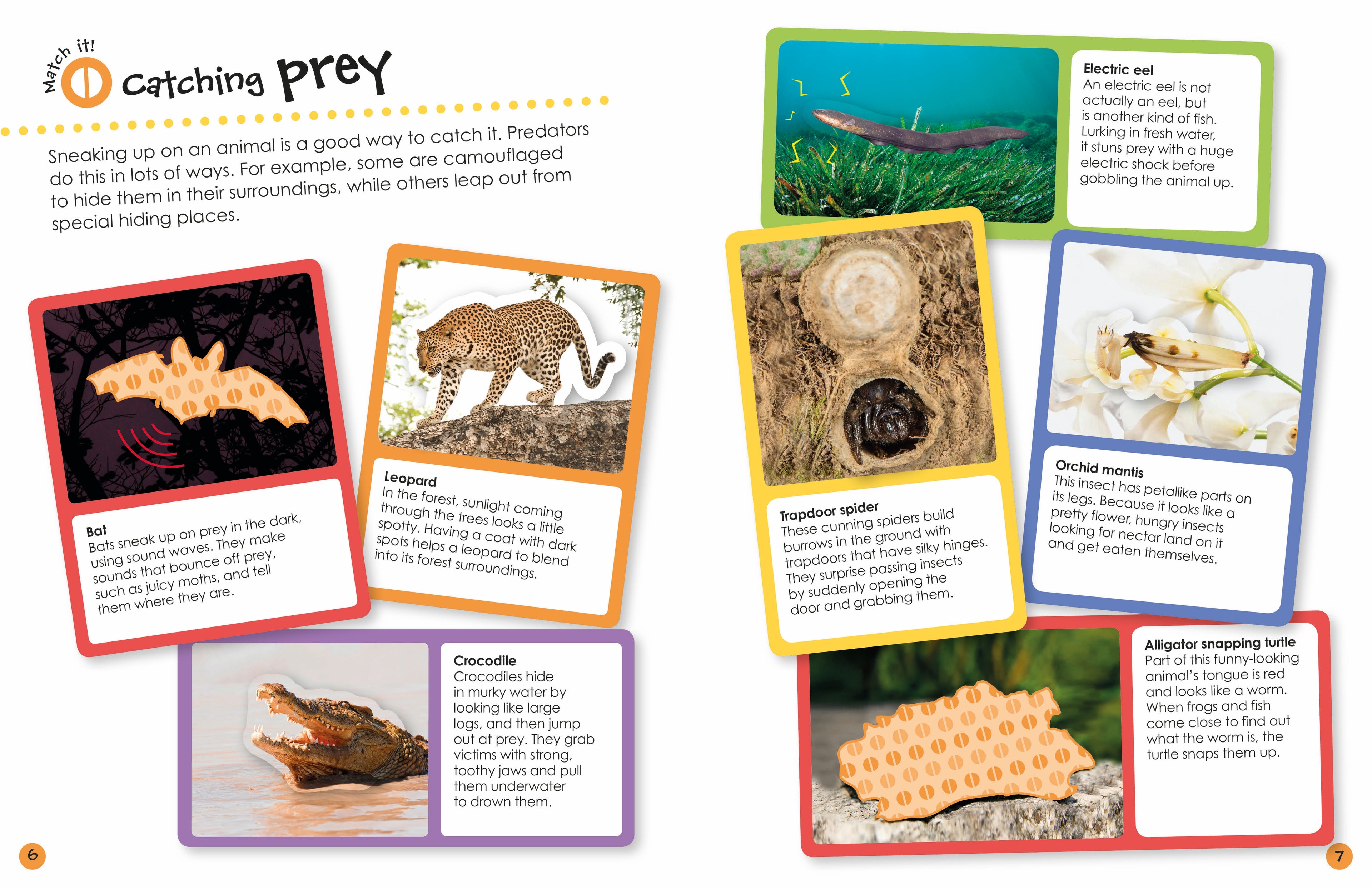 Ultimate Sticker Book: Deadly Animals