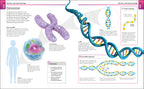 Super Simple Biology-Spread-Image-6