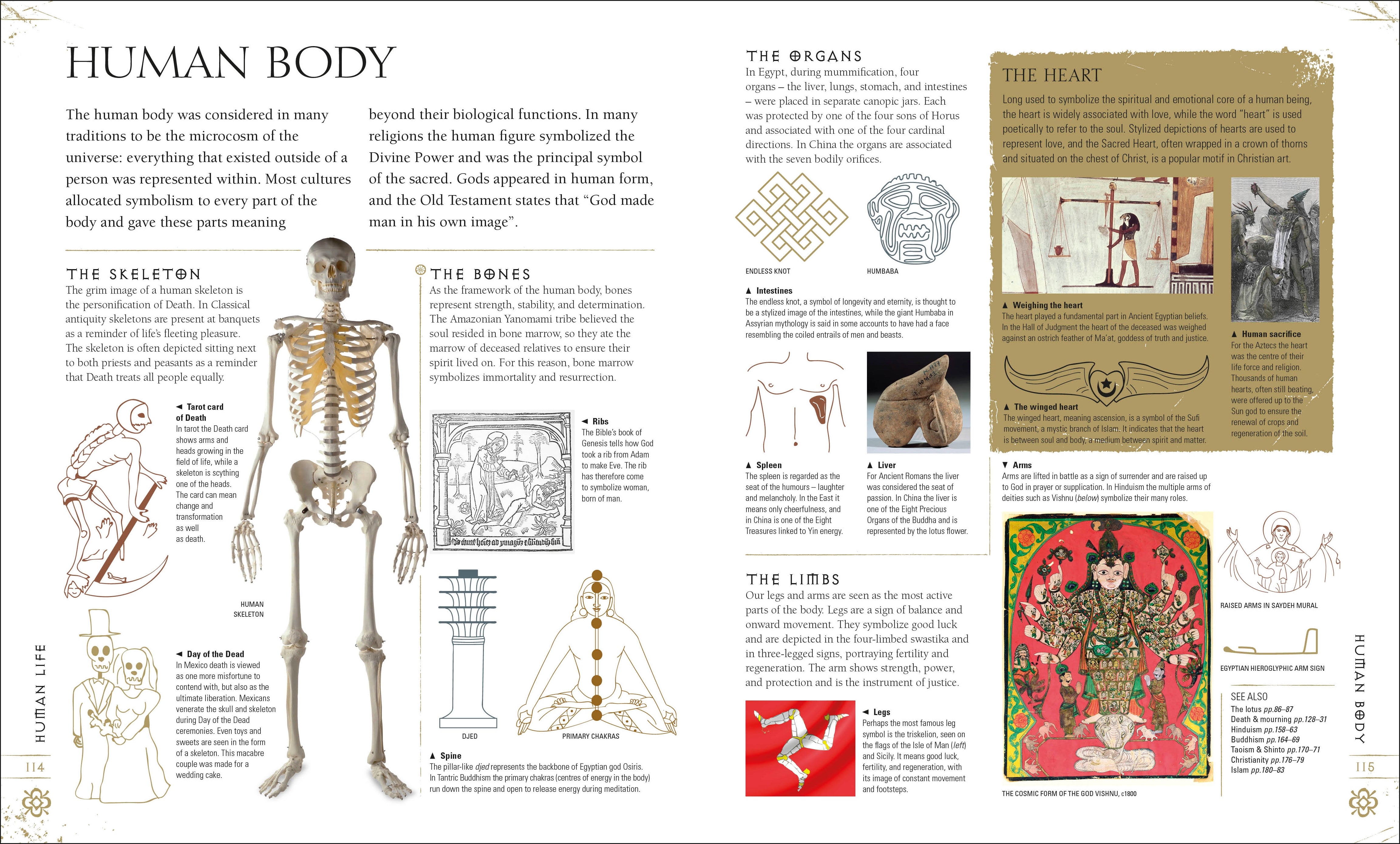 Signs & Symbols – DK