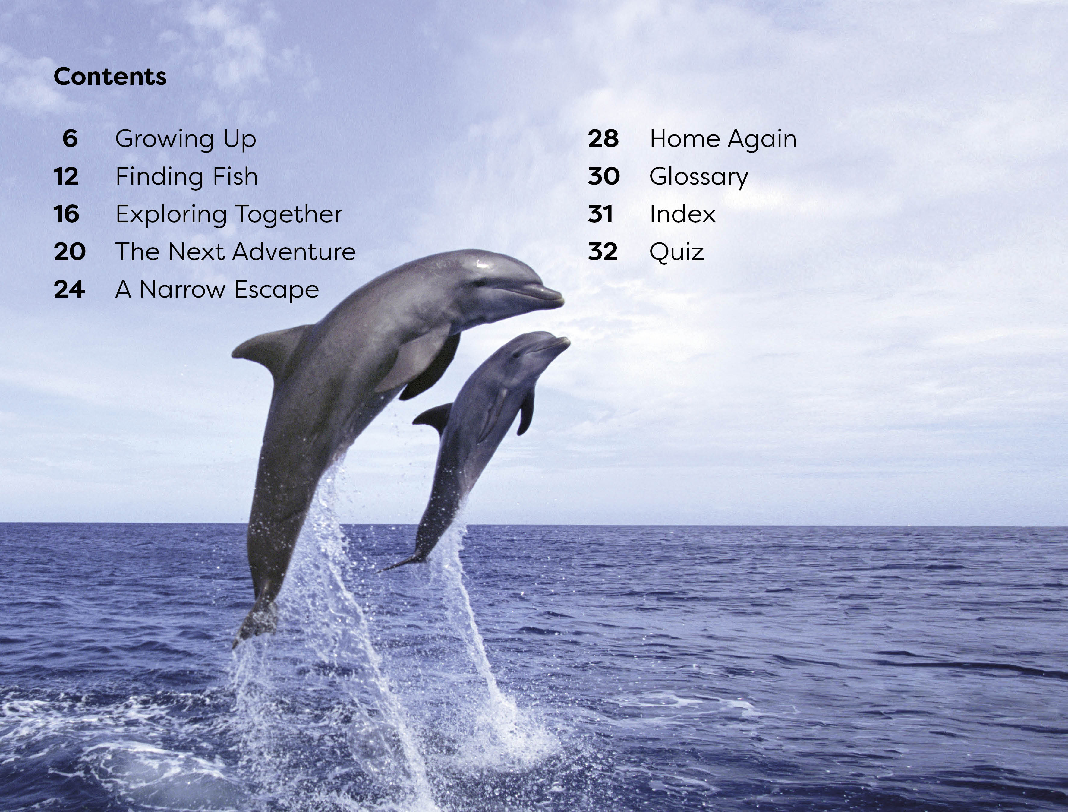 DK Super Readers Level 1 Diving Dolphin