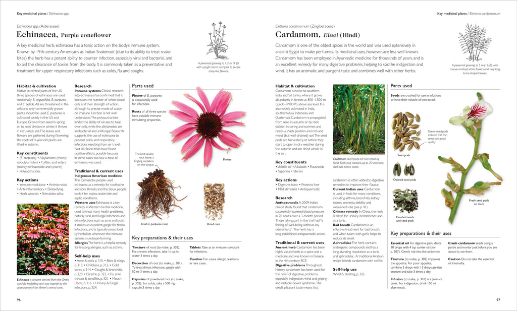 Encyclopedia of Herbal Medicine New Edition