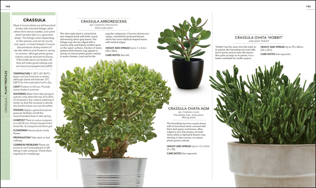 RHS Practical Cactus and Succulent Book