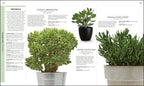 RHS Practical Cactus and Succulent Book